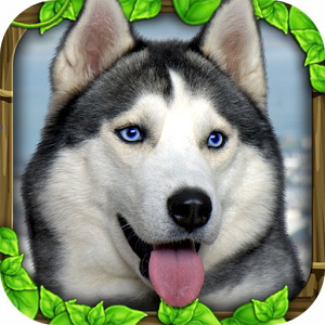 Stray Dog Simulator