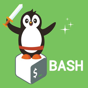 Bash Mastery: The Complete Guide to Bash Shell Scripting