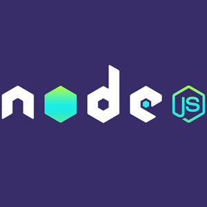 The Complete Node.js Course