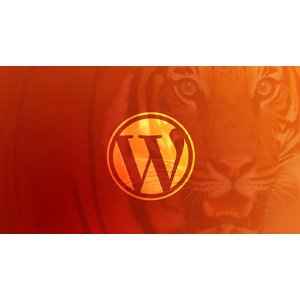 Become a WordPress Developer: Unlocking Power With Code