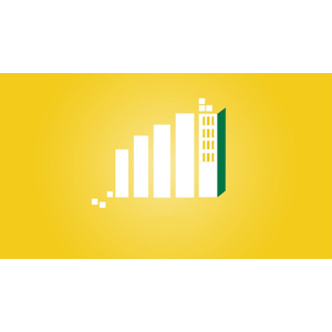 Microsoft Power BI - The Practical Guide 2024