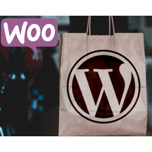 Build eCommerce websites with WordPress & WooCommerce