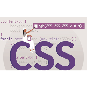 CSS Essential Training