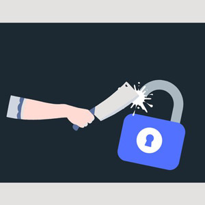 Ethical Hacking/Penetration Testing & Bug Bounty Hunting v2