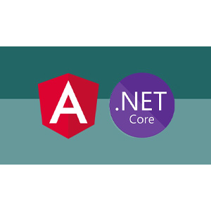 Build an app with ASPNET Core and Angular from scratch