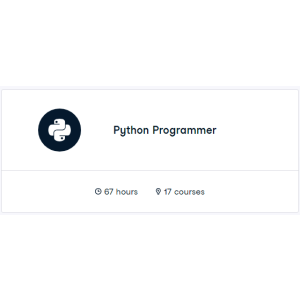 Python Programmer