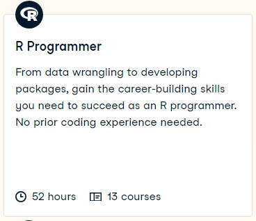 R Programmer