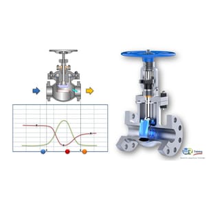 Sizing valves and control valves for the process industry