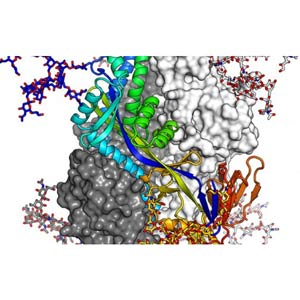 Learn Bioinformatics From Scratch (Theory & Practical)