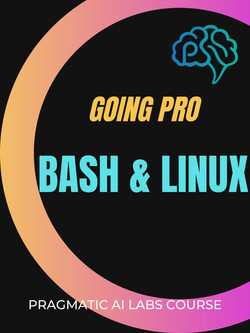 https://softarchive.is/blogs/tutsland/linux_and_bash_going_pro.4800507.html