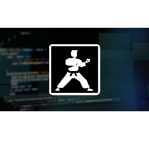 Karate DSL: API Automation and Performance from Zero to Hero