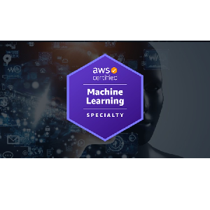 AWS Certified Machine Learning Specialty 2024 - Mastery
