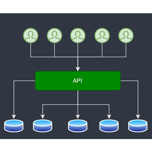 Advanced .NET Web API: Multi-Tenant Applications