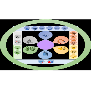 Biomedical Signal Processing