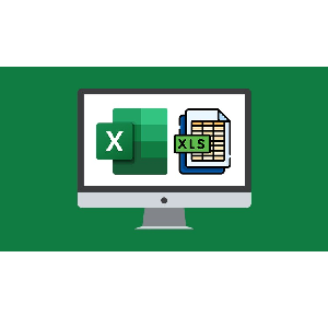 Microsoft Excel 365 Essentials