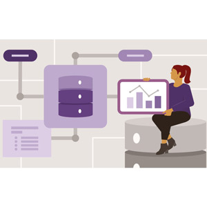 Practical Database Design: Implementing Responsible Data Solutions with SQL Querying