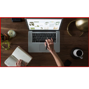Wordpress. Basic and Advanced. No coding. 2024