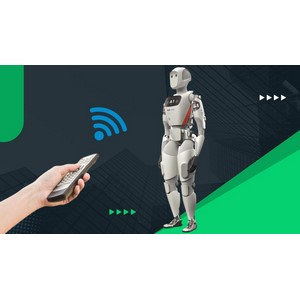 Developing Humanoid Robots: From Concept to Creation | 2024