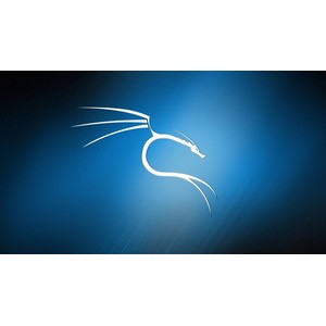 Kali Linux For Ethical Hacking v3.0: Beginner to PRO