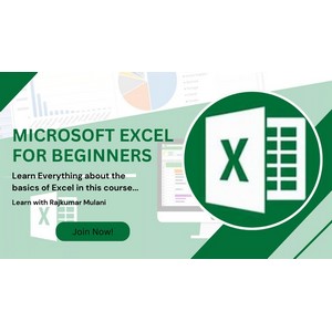 Microsoft Excel for Beginners