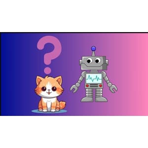 Build Your Own Chat Bot From Scratch