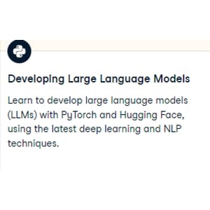 Developing Large Language Models