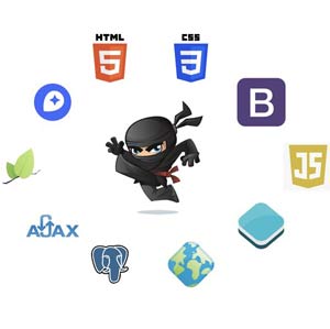 Web GIS development course