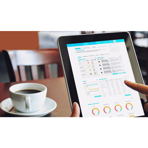 Crystal Reports for SAP Business One Mastery Training Course