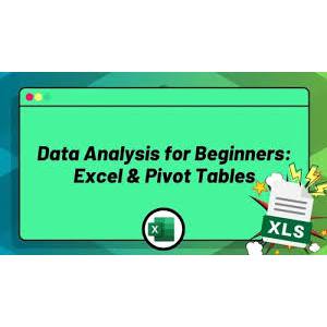 Data Analysis for Beginners: Excel & Pivot Tables
