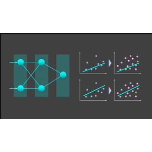 Data Science for Everyone