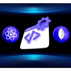 Develop Full-Stack Website React MongoDB Google Cloud