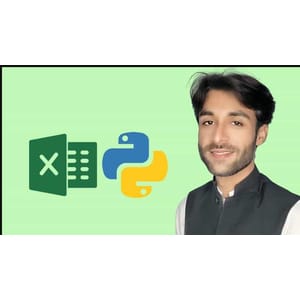 Python Excel (OpenPyXL) Programming with Coding Exercises