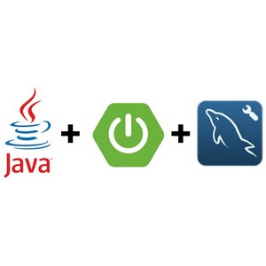 The No Nonsense Guide to Java Spring Boot