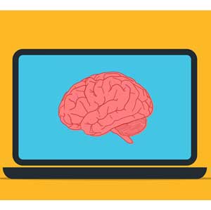 2025 Machine Learning & Data Science for Beginners in Python