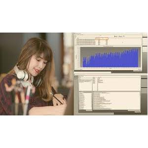 AccessData Password Recovery Toolkit (PRTK)