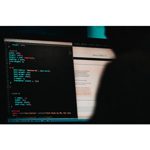 The Complete Web Penetration Testing & Bug Bounty Course