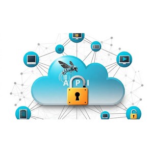 Ultimate Guide to OWASP API Security Top 10 Risks – 2023