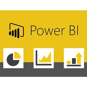 Power BI for Professionals Master Data Storytelling