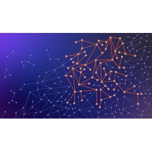 The Complete NetworkX Course: From Zero to Expert!