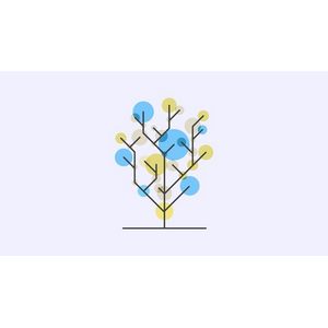 Tree Data Structure and Algorithms