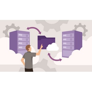 Windows Server 2025: DHCP and DNS