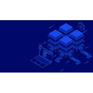 Oracle Database Administration: Oracle DBA Fundamentals