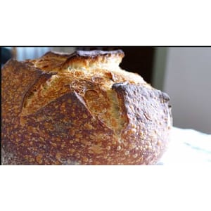 _1 Sourdough Bread Baking 101