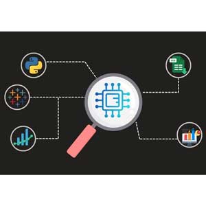 Data Science Mastery 2025 Excel, Python & Tableau