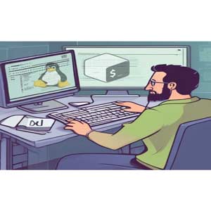 Introduction to the Linux Command Line Interface