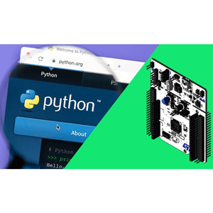 Embedded MicroPython from Ground Up™