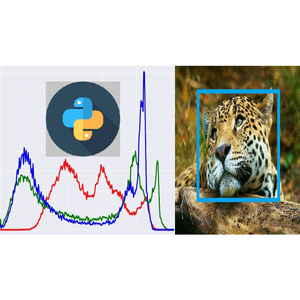 Python for Signal and Image Processing Master Class