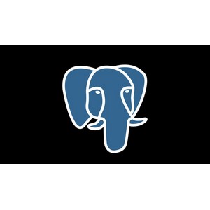 The Complete Beginner to Advanced PostgreSQL Course 2024