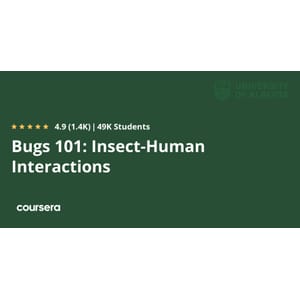 Bugs 101_ Insect-Human Interactions