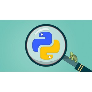 Python Bootcamp: Learn to Code with Fun Projects